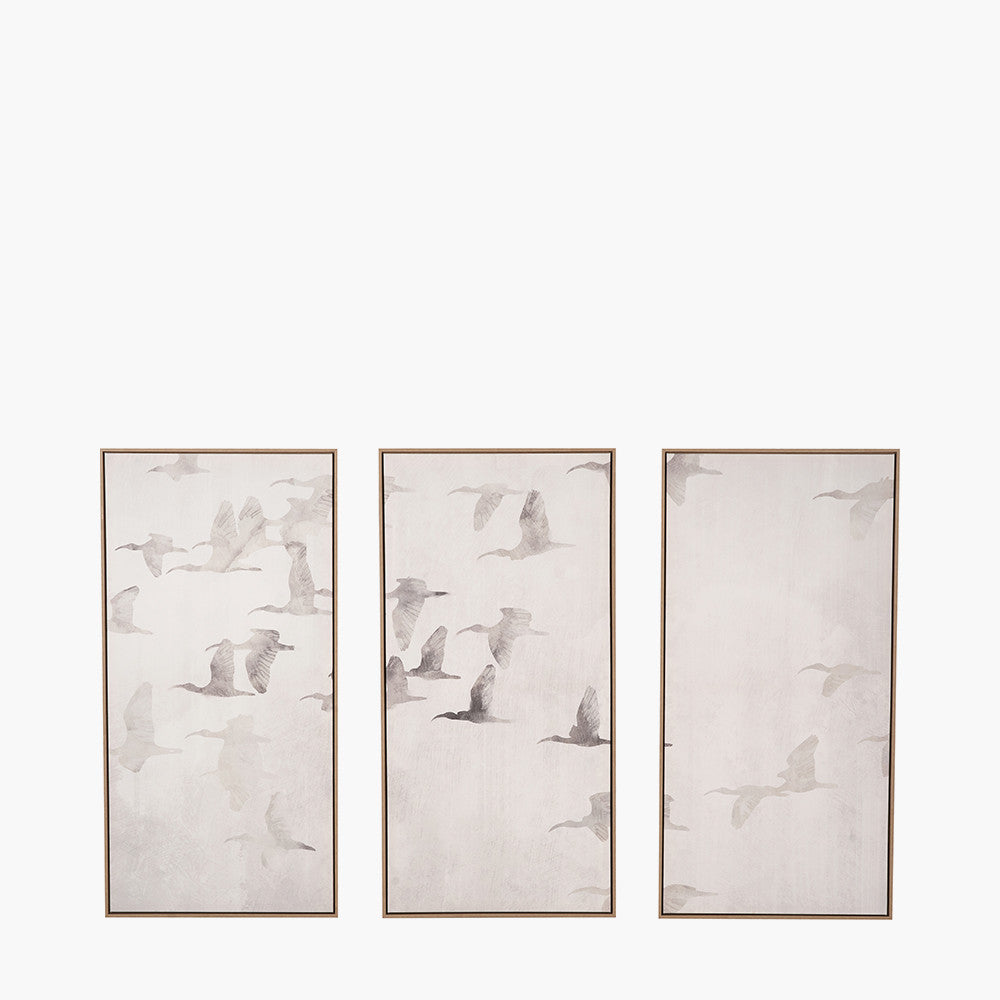 Set of 3 Natural and White Birds Canvases with Natural Frames