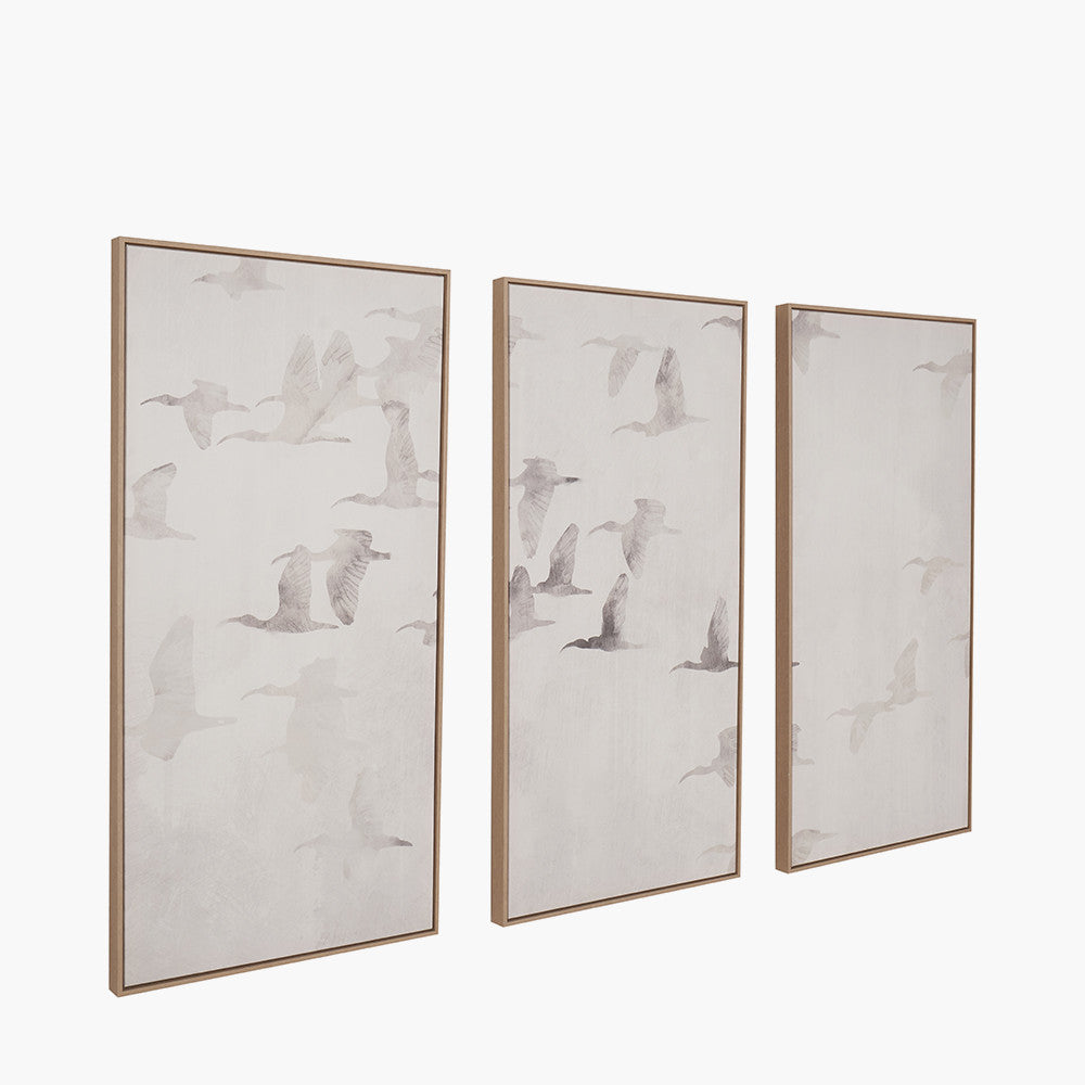 Set of 3 Natural and White Birds Canvases with Natural Frames