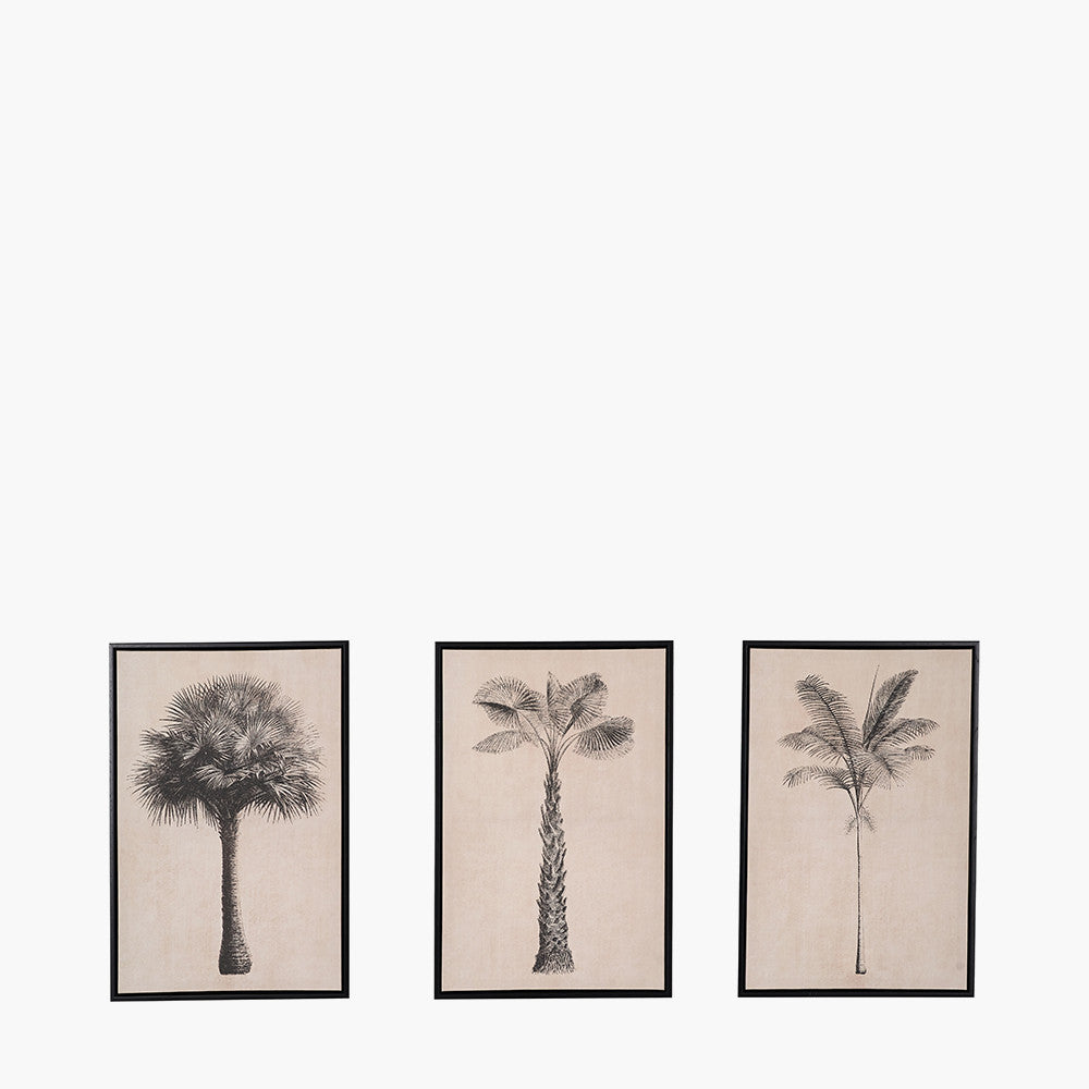 Set of 3 Natural and Black Palm Tree Print Canvases with Black Frames