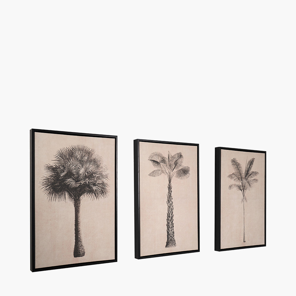 Set of 3 Natural and Black Palm Tree Print Canvases with Black Frames