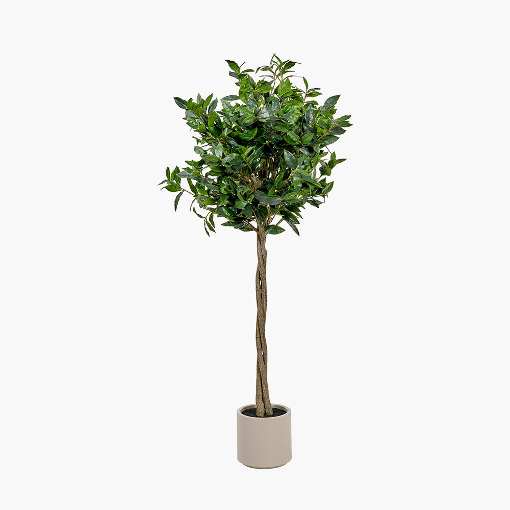 Medium Faux Bay Tree in White Pot – 150cm Artificial Indoor Plant