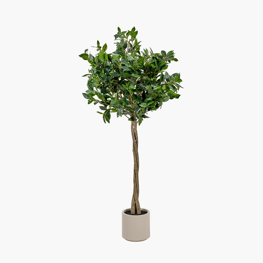 Medium Faux Bay Tree in White Pot – 150cm Artificial Indoor Plant