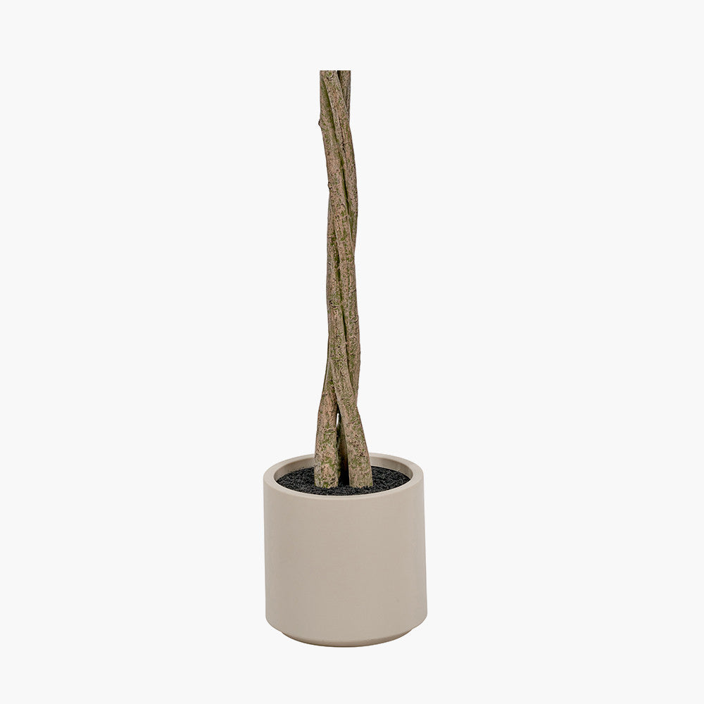Medium Faux Bay Tree in White Pot – 150cm Artificial Indoor Plant