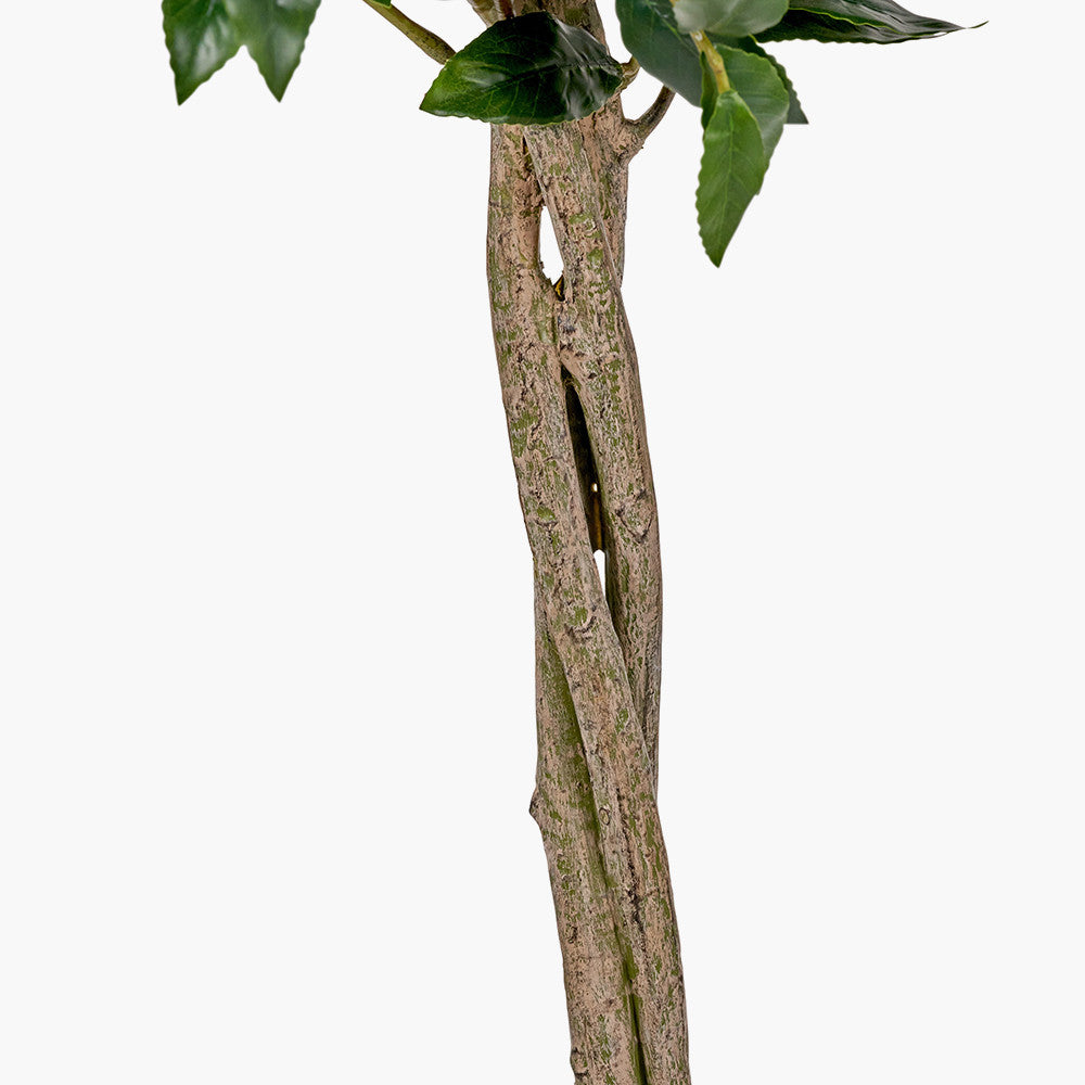 Medium Faux Bay Tree in White Pot – 150cm Artificial Indoor Plant