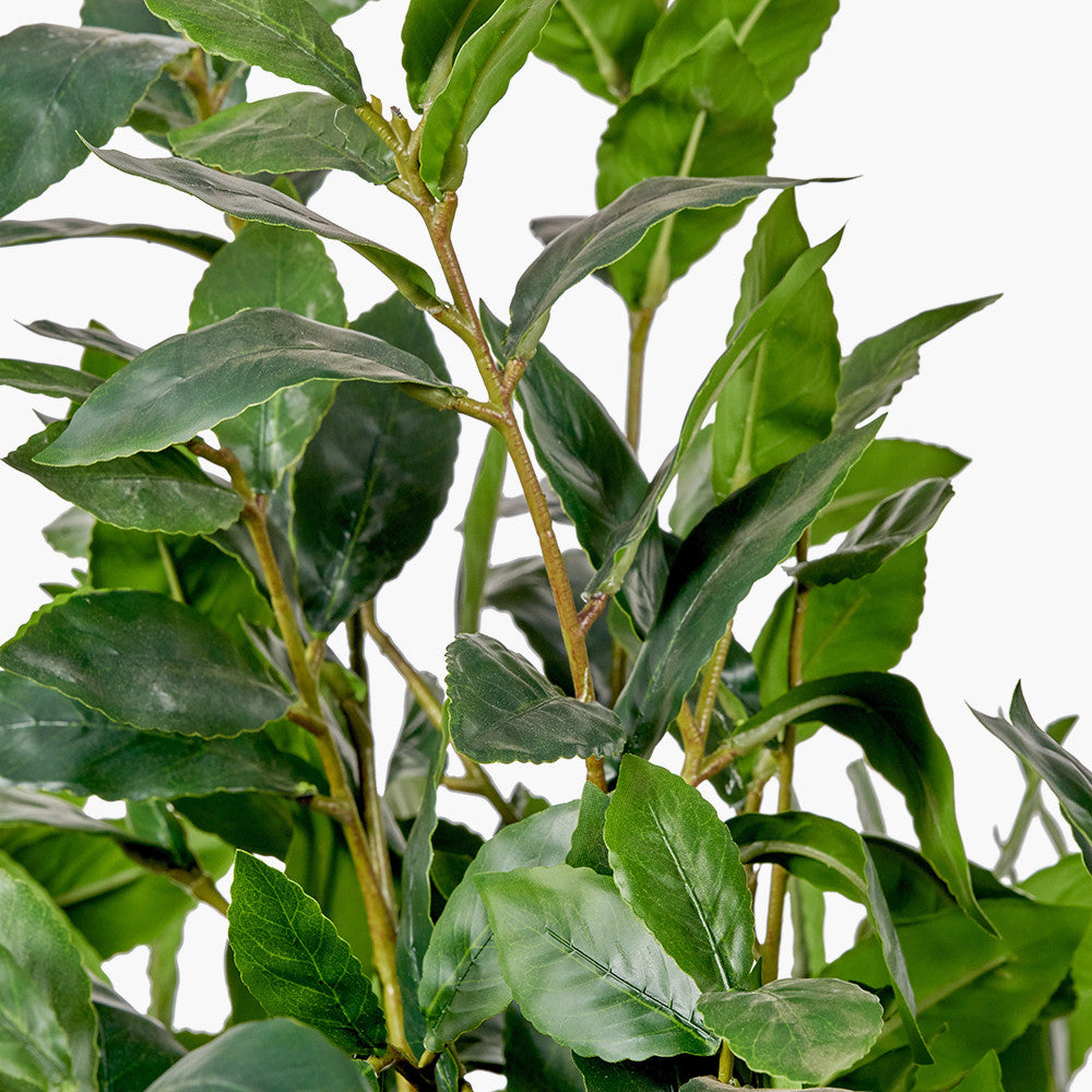 Medium Faux Bay Tree in White Pot – 150cm Artificial Indoor Plant