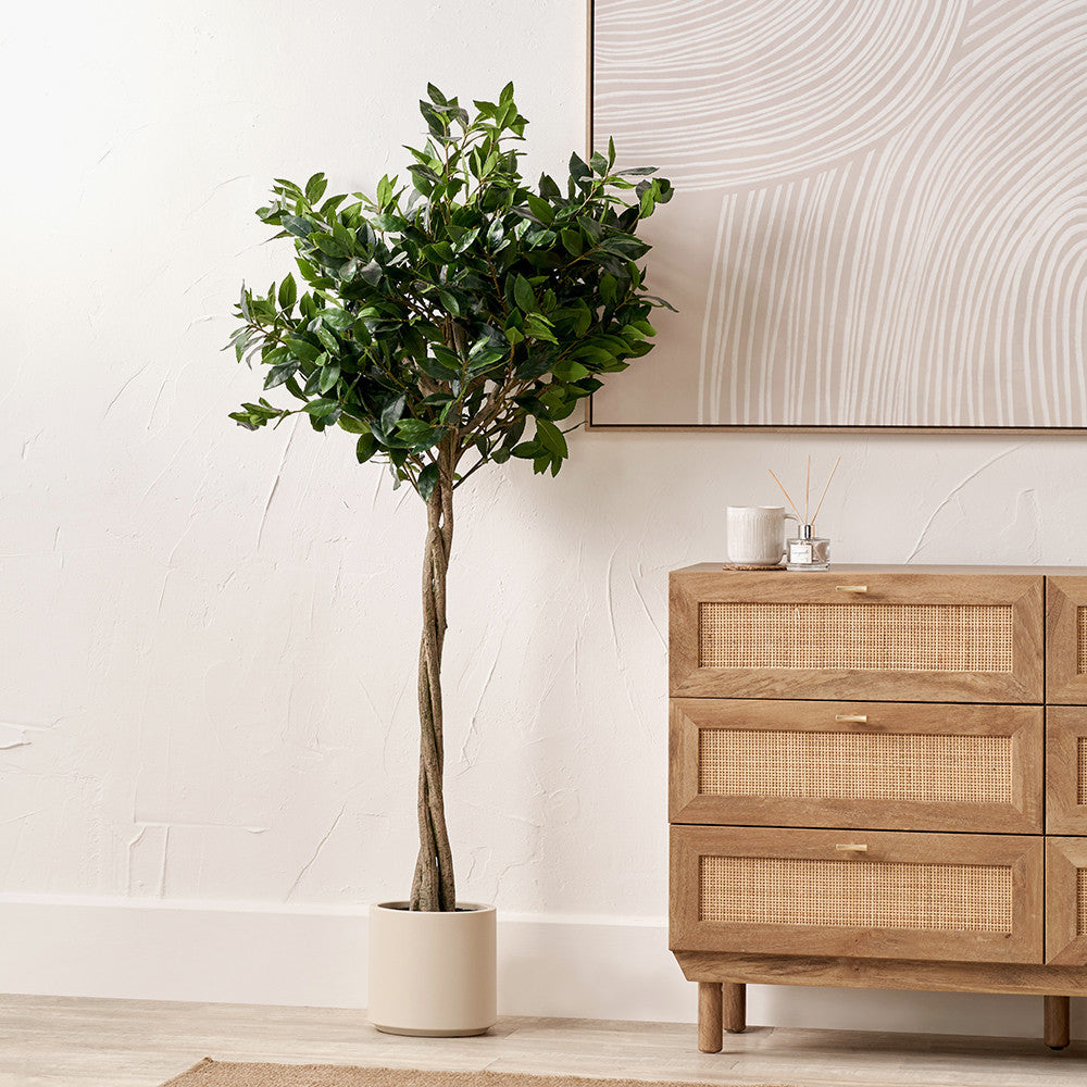 Medium Faux Bay Tree in White Pot – 150cm Artificial Indoor Plant