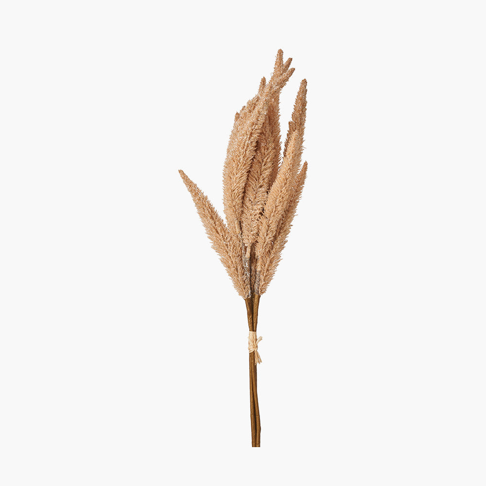 Natural Apricot Foxtail Hand-Tied 3 Stem Bundle – Pack of 6 Faux Floral Stems