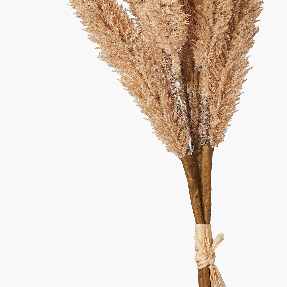 Natural Apricot Foxtail Hand-Tied 3 Stem Bundle – Pack of 6 Faux Floral Stems