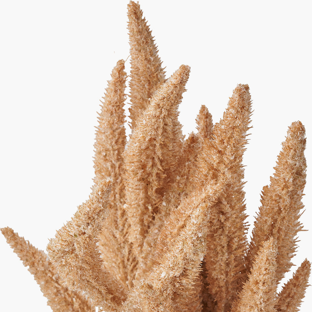 Natural Apricot Foxtail Hand-Tied 3 Stem Bundle – Pack of 6 Faux Floral Stems