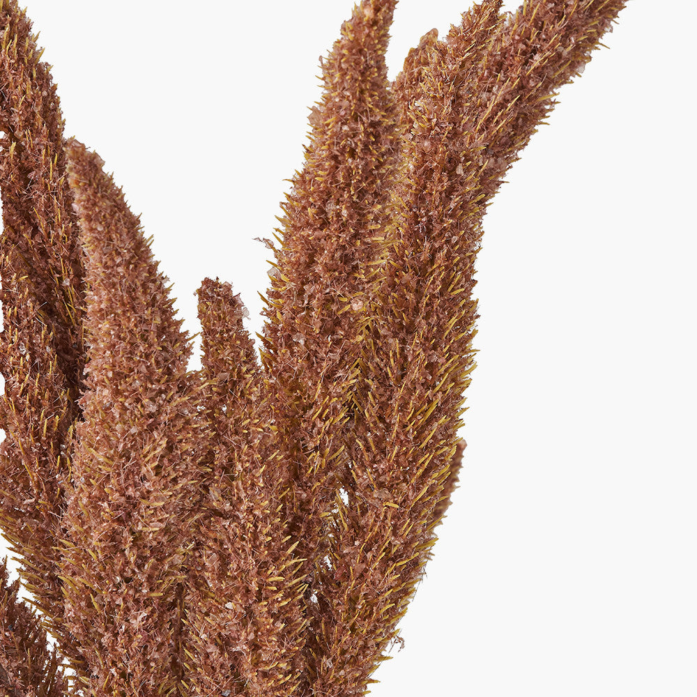 Mulberry Brown Faux Foxtail Hand-Tied 3 Stem Bundle Pack of 6 – Textured Dried Look Stems
