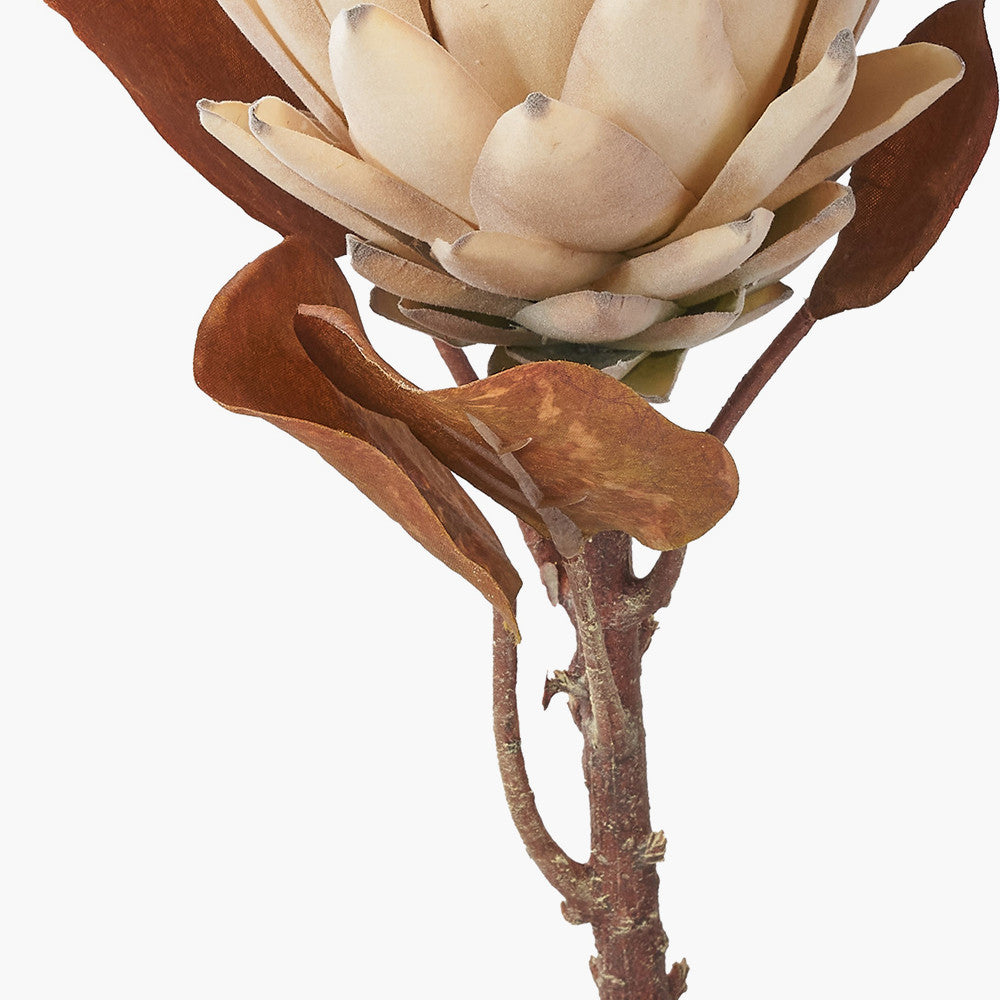 Natural Apricot Protea Stems – Pack of 6 Artificial Flowers for UK Homes