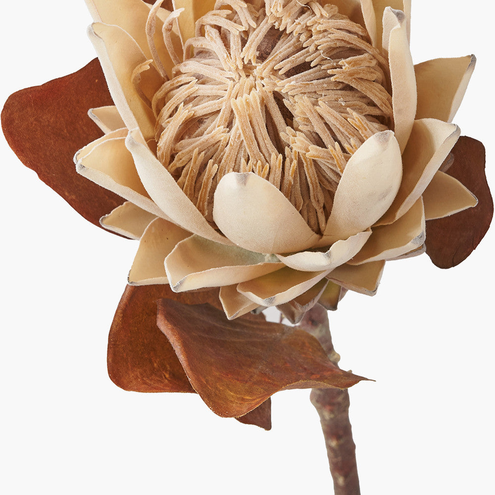 Natural Apricot Protea Stems – Pack of 6 Artificial Flowers for UK Homes