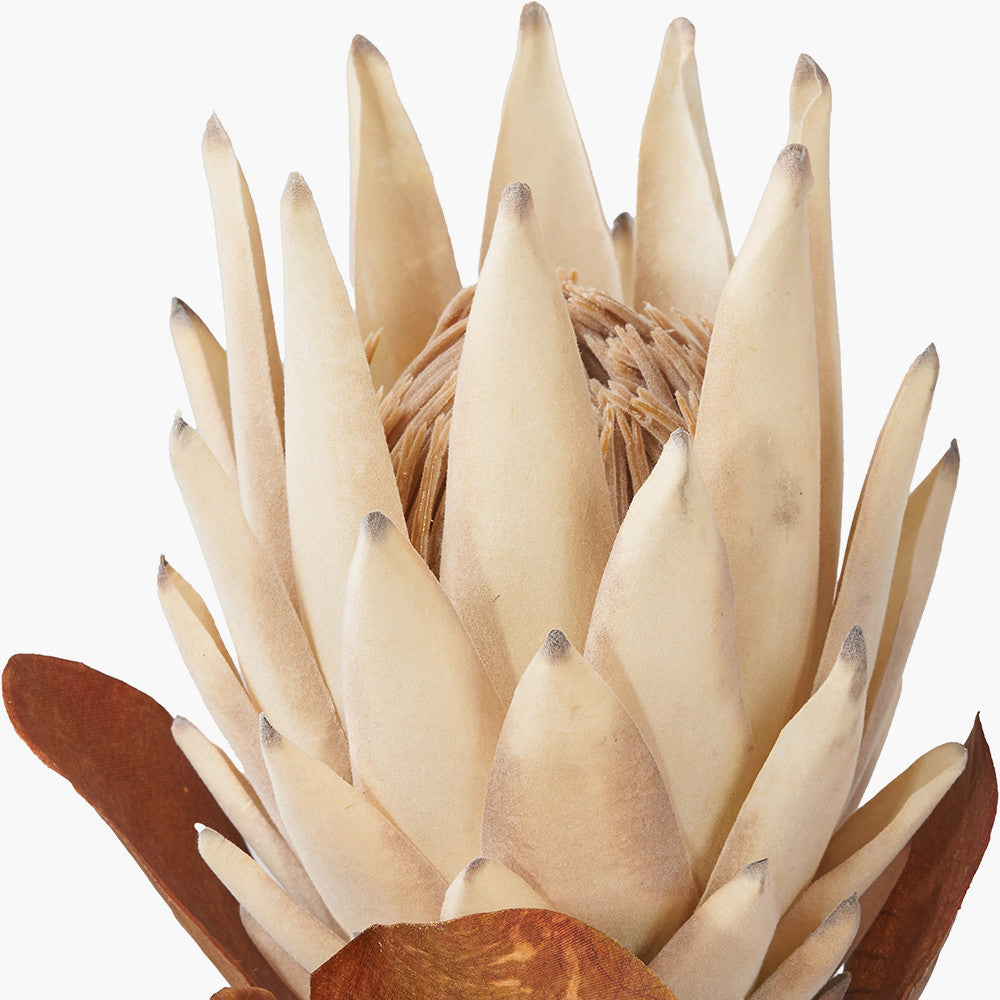 Natural Apricot Protea Stems – Pack of 6 Artificial Flowers for UK Homes