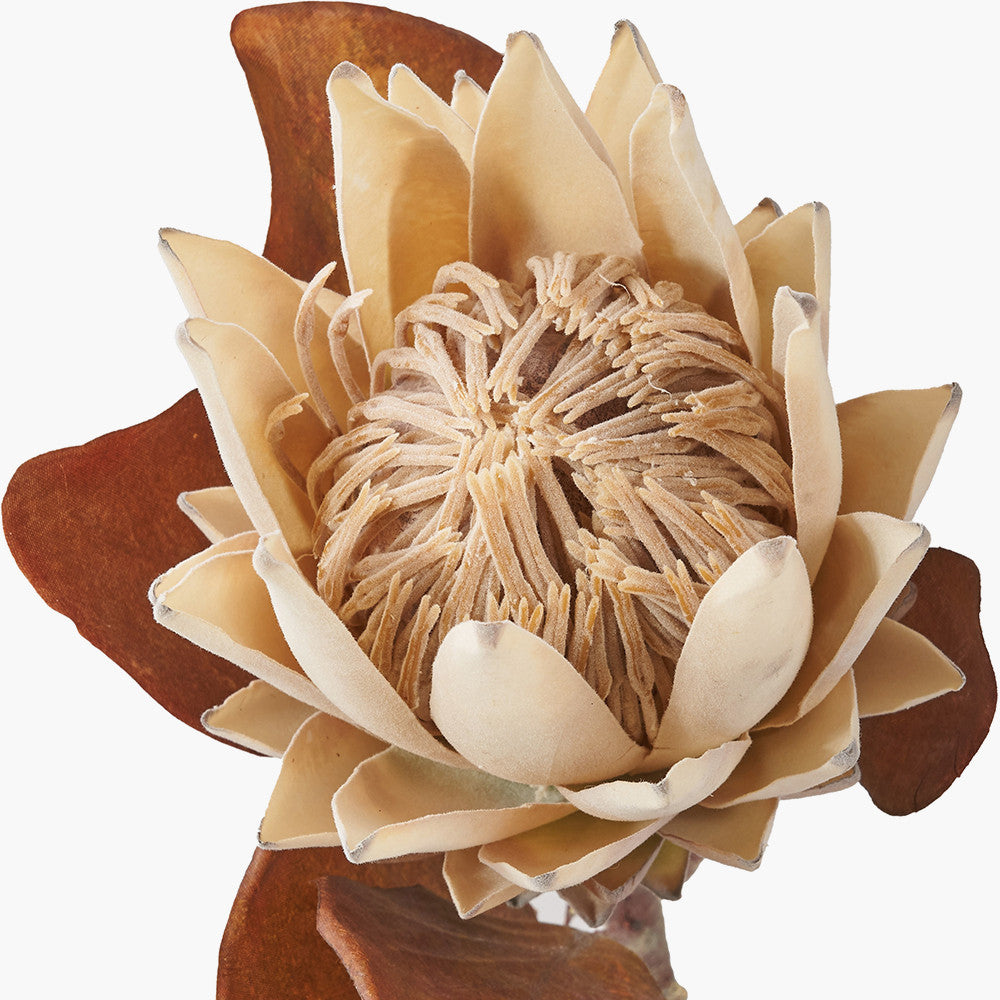 Natural Apricot Dried Flower Bunch – Luxury Faux Floral Arrangement