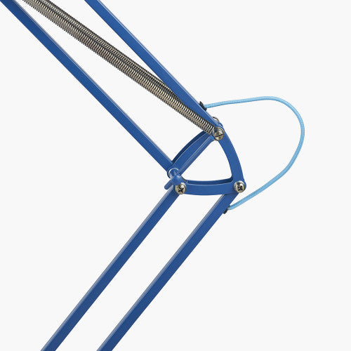 Make a bold impression with the Tortona Floor Lamp in Cobalt blue, a unique piece designed in collaboration with Designers Guild. Dimensions W35xD35xH13 cm. Shop online today at www.nobleandnook.co.uk