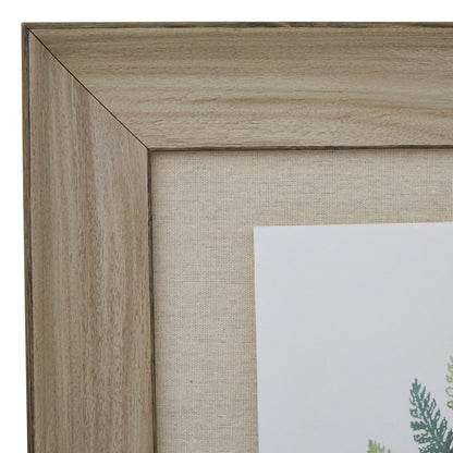 Watercolour Fern Duo in Washed Wood Frame