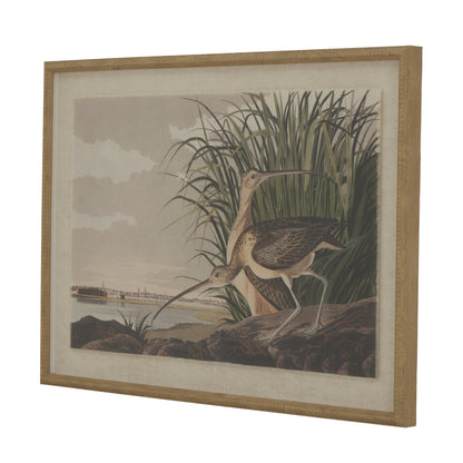 Flora & Fauna Collection – Curlews on Linen in Beaded Frame