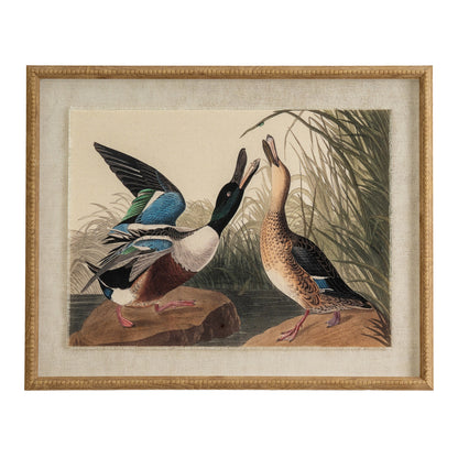 Flora & Fauna Collection – Mallards on Linen in Beaded Frame
