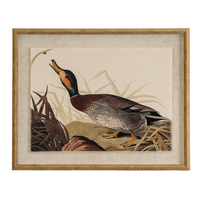 Flora & Fauna Collection – Duck on Linen in Beaded Frame