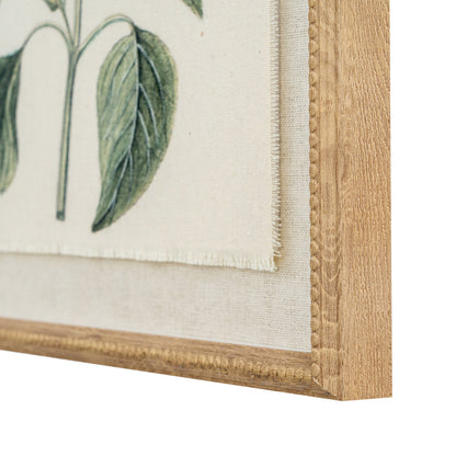 Flora & Fauna Collection – Salvia on Linen in Beaded Frame