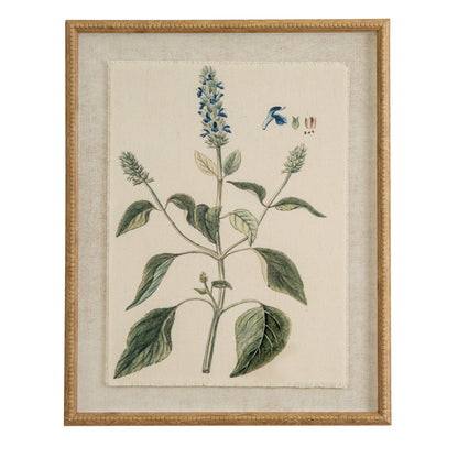Flora & Fauna Collection – Salvia on Linen in Beaded Frame