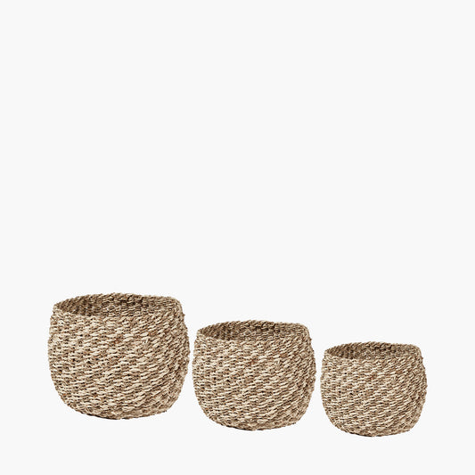 Set of 3 Seagrass and Palm Leaf 2-Tone Natural Plaited Round Baskets – Rustic Coastal Style for Modern Living