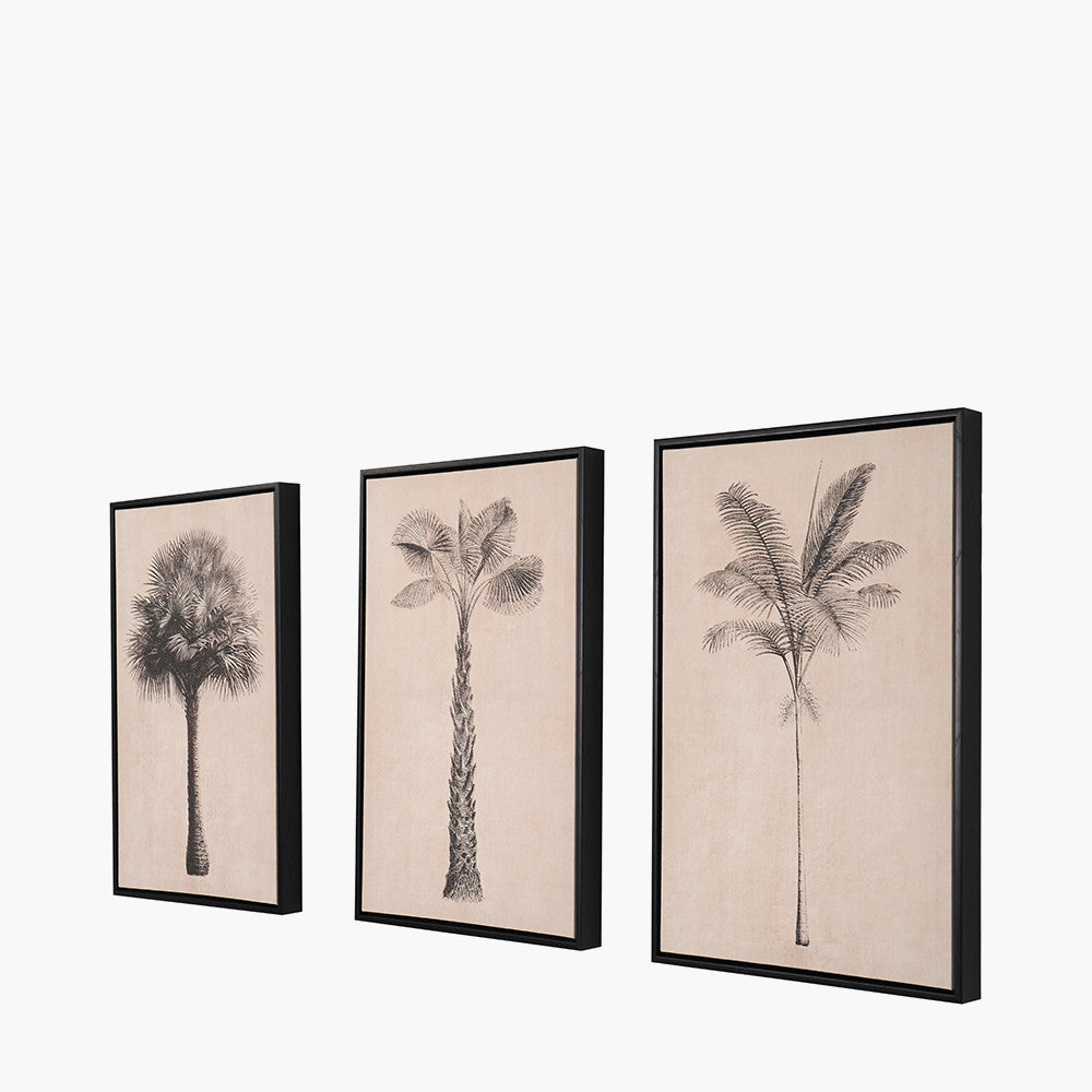 Set of 3 Natural and Black Palm Tree Print Canvases with Black Frames