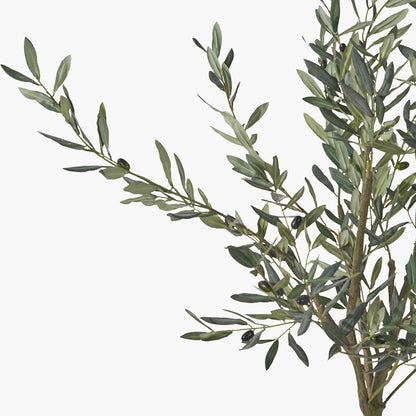 Medium Faux Olive Tree in White Pot – Realistic Mediterranean Home Décor Plant