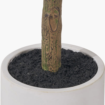 Medium Faux Olive Tree in White Pot – Realistic Mediterranean Home Décor Plant