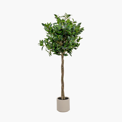 Medium Faux Bay Tree in White Pot – 150cm Artificial Indoor Plant