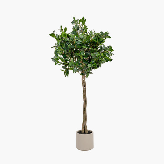 Medium Faux Bay Tree in White Pot – 150cm Artificial Indoor Plant