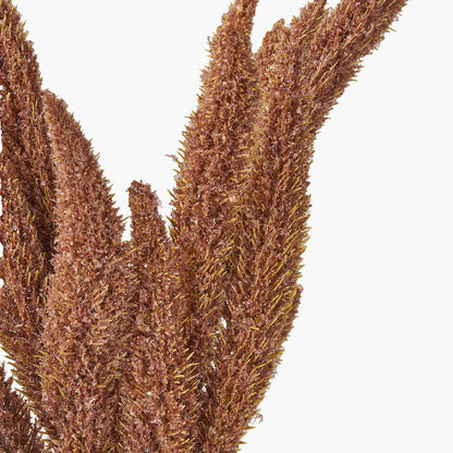 Mulberry Brown Faux Foxtail Hand-Tied 3 Stem Bundle Pack of 6 – Textured Dried Look Stems