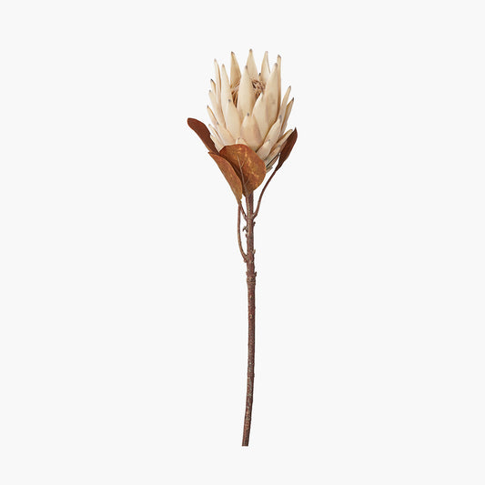 Natural Apricot Protea Stems – Pack of 6 Artificial Flowers for UK Homes