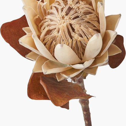 Natural Apricot Protea Stems – Pack of 6 Artificial Flowers for UK Homes