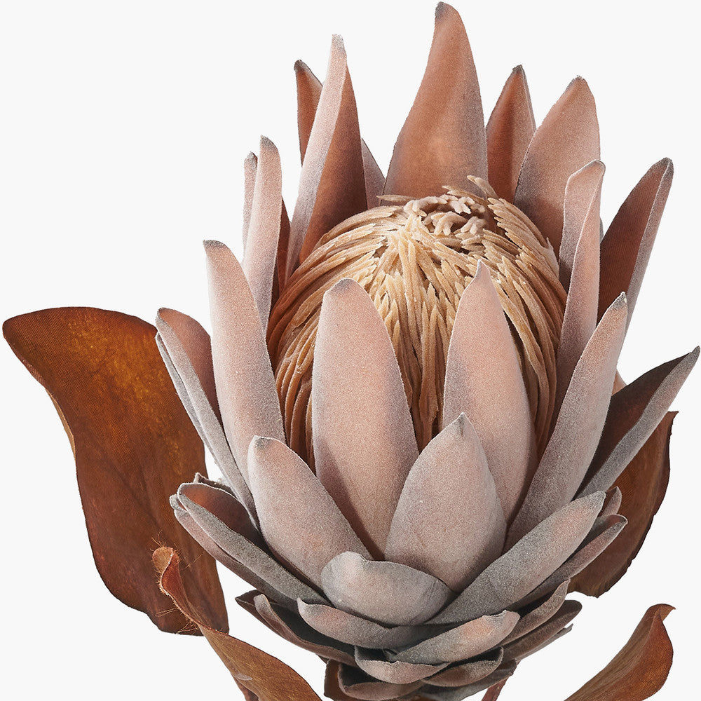 Mulberry Brown Protea Stems – Pack of 6 Artificial Flowers for Home Décor