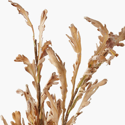Natural Apricot Autumn Leaf Faux Stem Pack of 6 – Elegant Seasonal Foliage