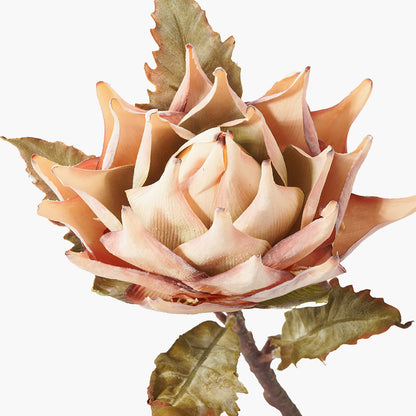 Natural Apricot Dried Flower Bunch – Luxury Faux Floral Arrangement