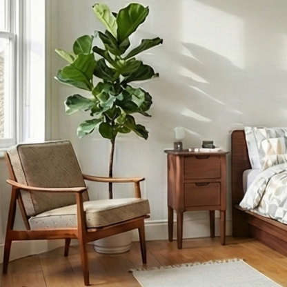 Modern bedroom with wooden chair, nightstand, and bed with a large potted plant.